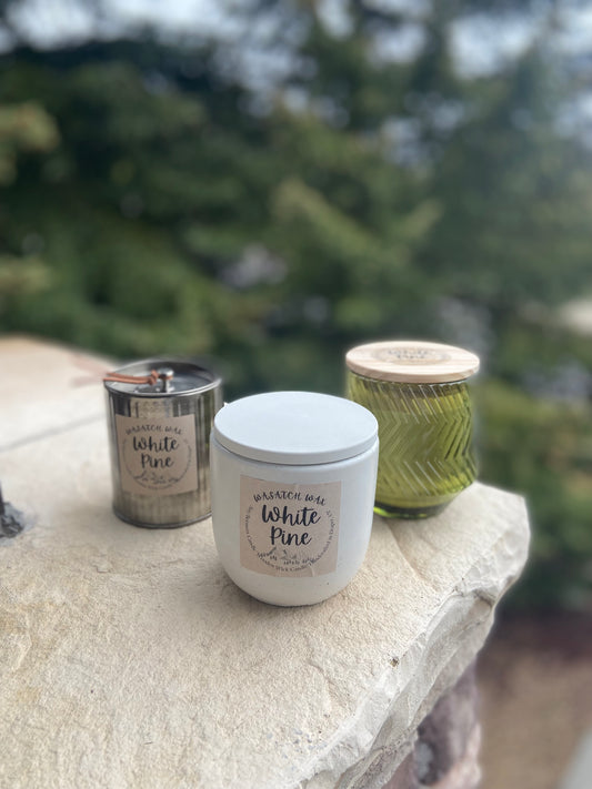 White Pine