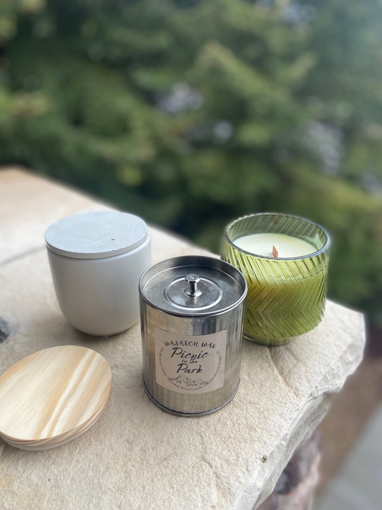 Picnic in the Park