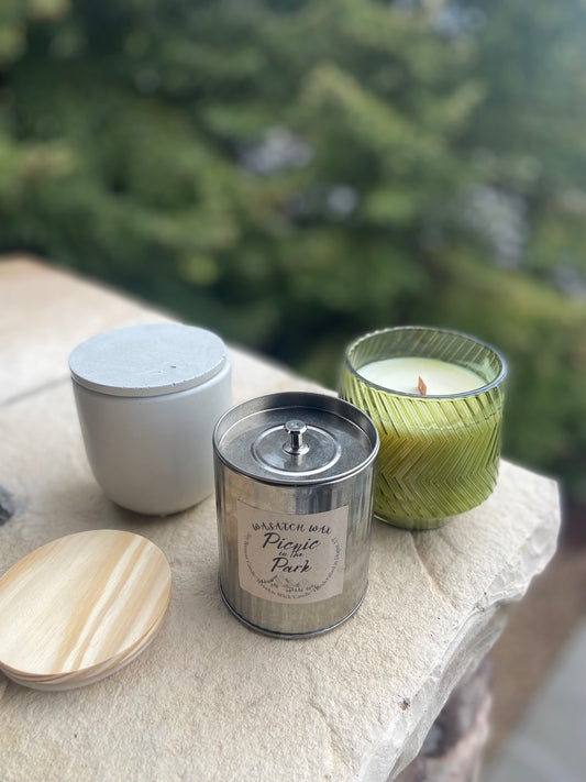 Picnic in the Park